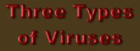 Three Types Of Viruses - the worst being soul viruses